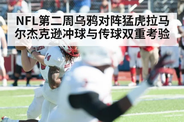 NFL第二周乌鸦对阵猛虎拉马尔杰克逊冲球与传球双重考验