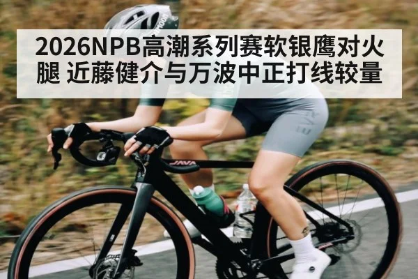 2026NPB高潮系列赛软银鹰对火腿 近藤健介与万波中正打线较量