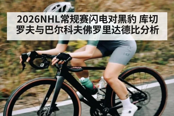 2026NHL常规赛闪电对黑豹 库切罗夫与巴尔科夫佛罗里达德比分析